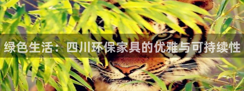 杏耀官网娱乐