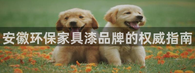 杏耀登陆