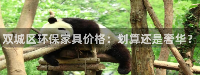 杏耀登陆