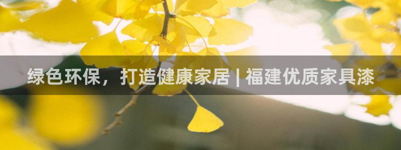 杏耀代理日工资多少