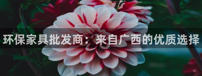 杏耀平台官方网站下载