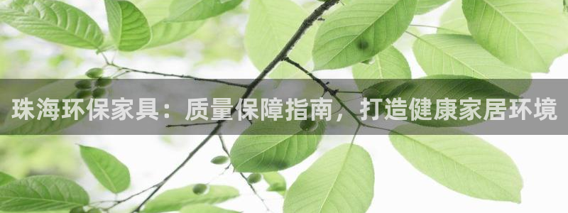 杏耀平台待遇：珠海环保家具：质量保障指南，打造健康家居环境