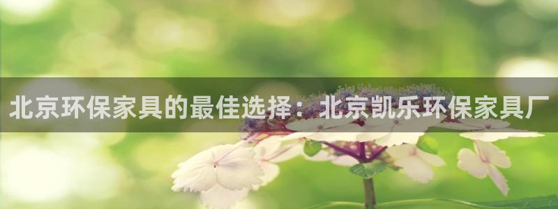 杏耀平台招商的流程
