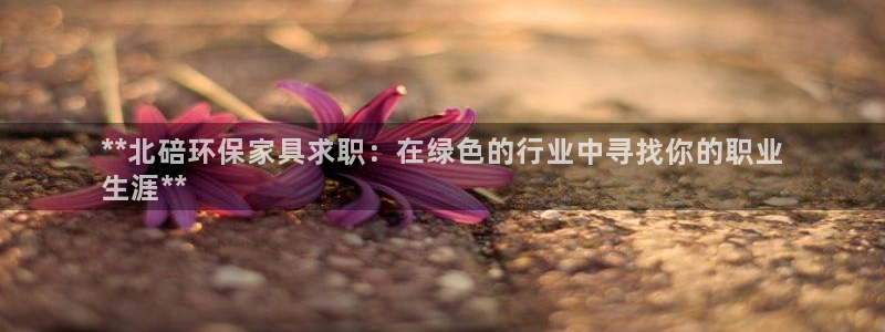 杏耀平台官方登陆：**北碚环保家具求职：在绿色的行业中寻找你