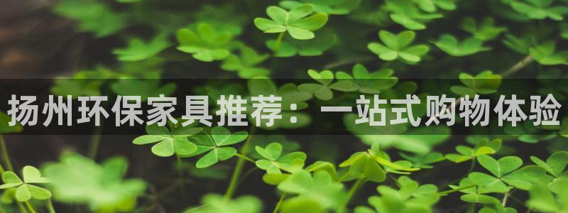 杏耀总代