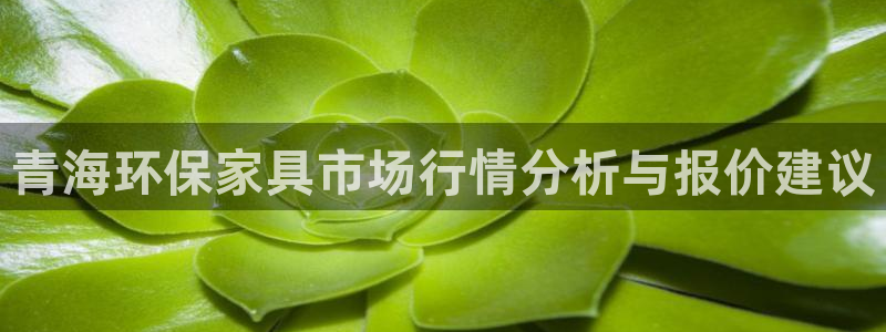 杏耀登陆线路