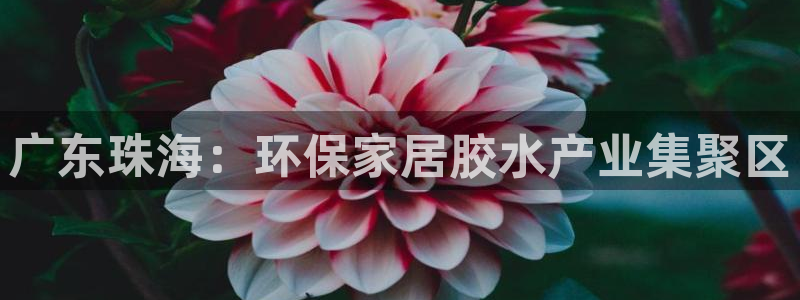 杏耀平台在哪里