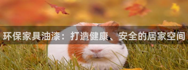 杏耀平台娱乐登陆