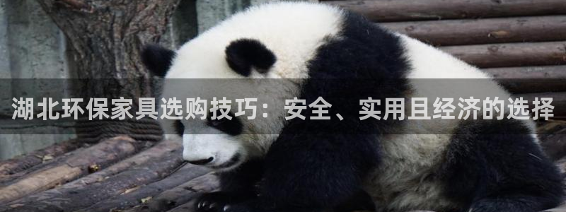杏耀平台代理怎么赚钱的