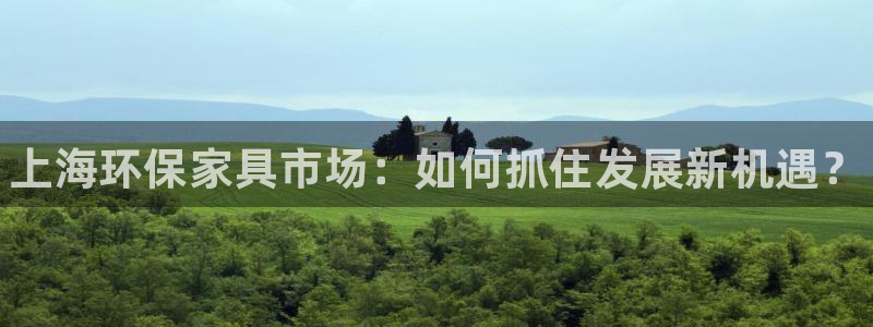 杏耀线路5检测：上海环保家具市场：如何抓住发展新机遇？