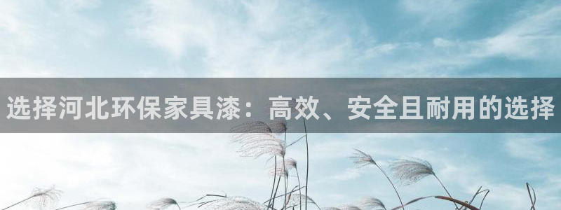 杏耀代理连接：选择河北环保家具漆：高效、安全且耐用的选择