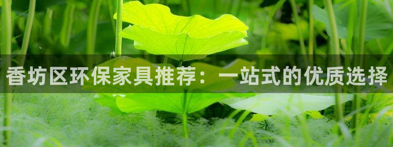 杏耀代理注册开户：香坊区环保家具推荐：一站式的优质选择