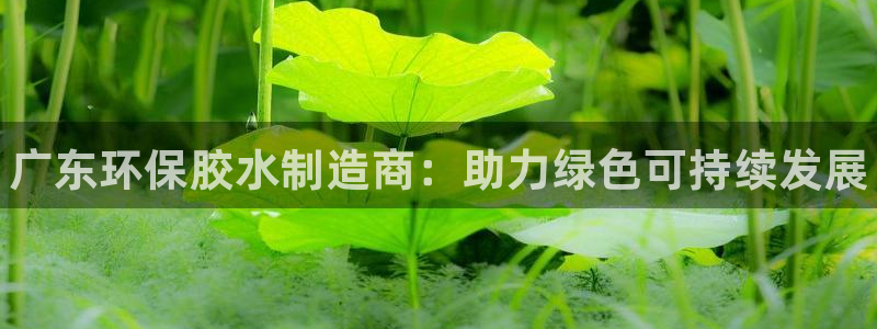 杏耀平台代理怎么赚钱快：广东环保胶水制造商：助力绿色可持续发