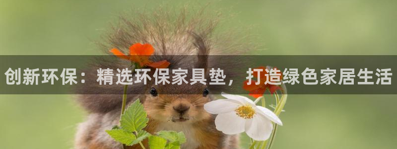 杏耀平台主管：创新环保：精选环保家具垫，打造绿色家居生活