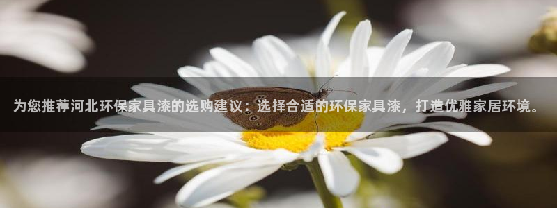 杏耀平台服务中心电话号码：为您推荐河北环保家具漆的选购建议：
